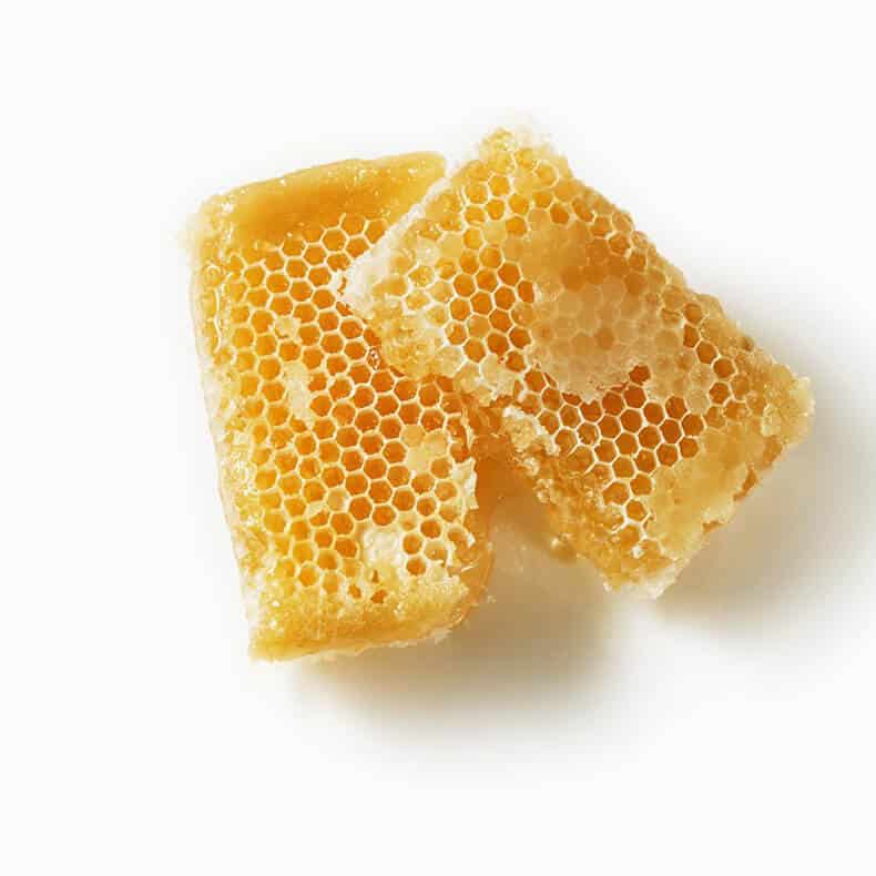 Bees Wax Crayon (Colorful Fruits) สีเทียน Bees Wax ชุดผลไม้