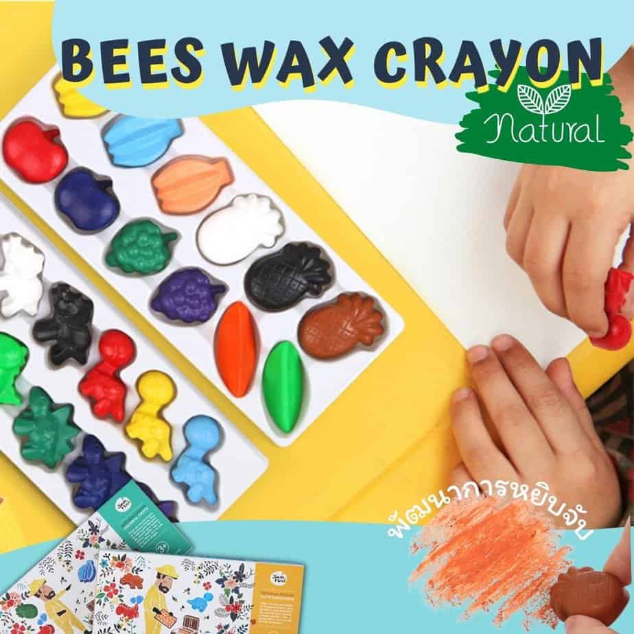 Bees Wax Crayon สีเทียนจากขี้ผึ้ง